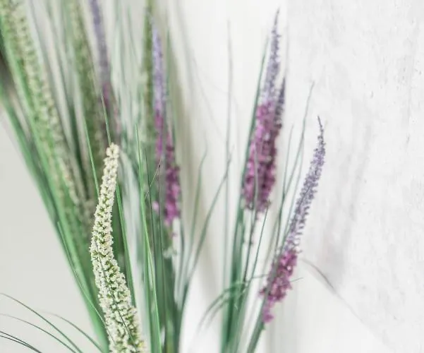 Euphoria & Deluxe アパート *