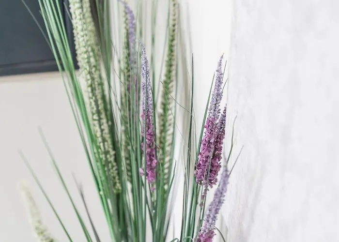 Euphoria & Deluxe * サントリーニ