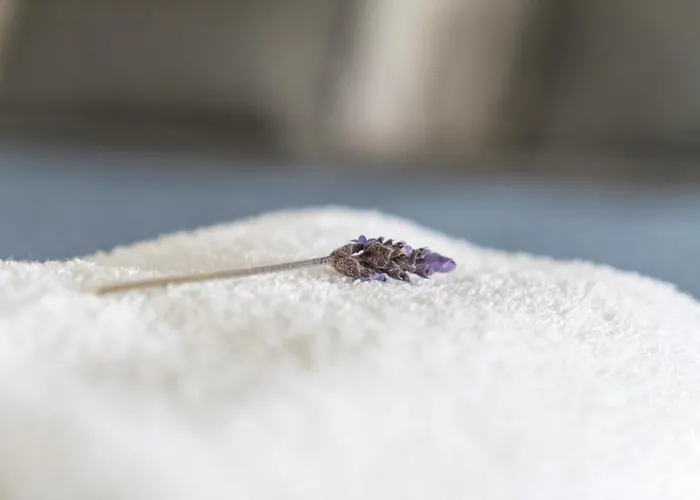 Apartamento Euphoria & Deluxe *